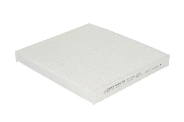 Filter, cabin air (B43010PR)
