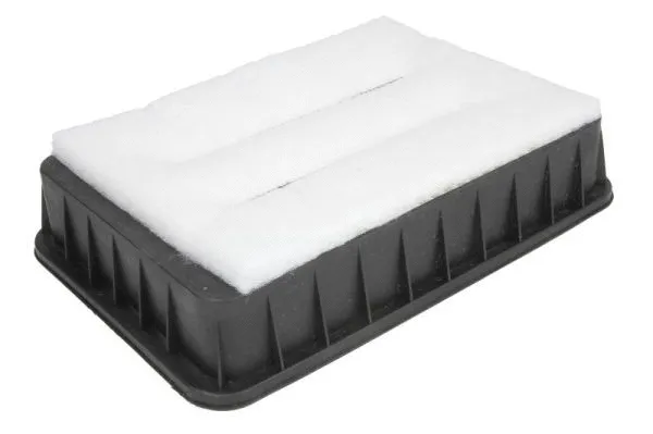 Air Filter (B2P043PR)