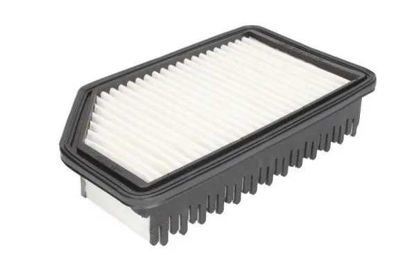 Air Filter (B20341PR)