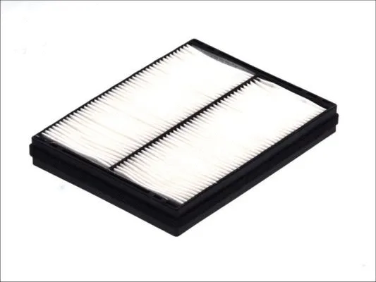 Filter, cabin air (B43005PR)