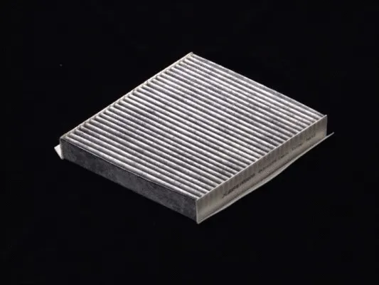 Filter, cabin air (B41011CPR)