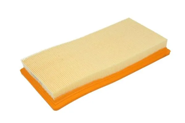 Air Filter (B2F082PR)