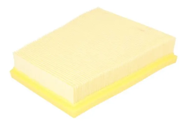 Air Filter (B2G074PR)