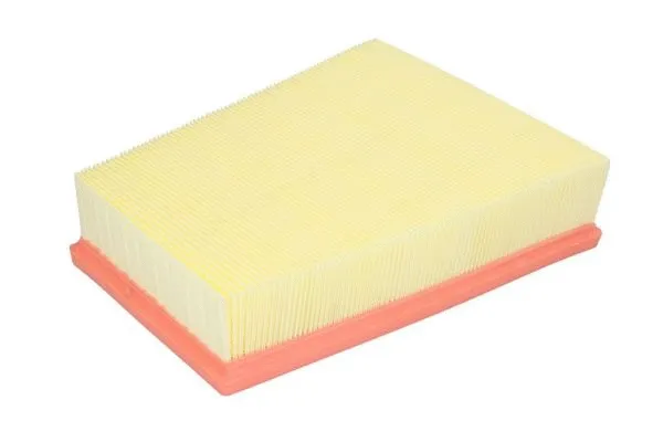 Air Filter (B2R049PR)