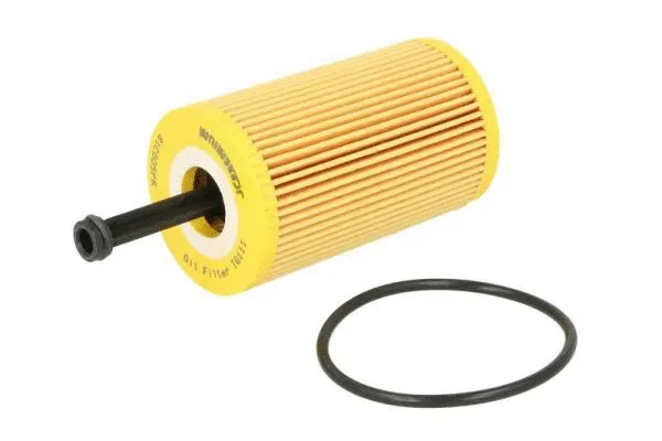 Oil Filter (B1C005PR)