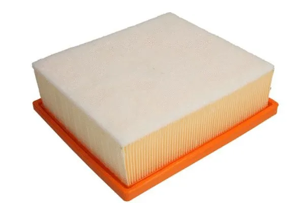 Air Filter (B2F079PR)