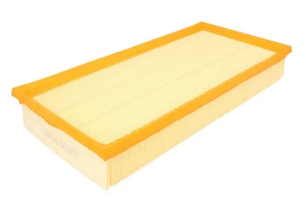 Air Filter (B2W059PR)