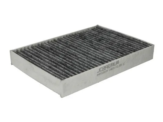 Filter, cabin air (B4R028CPR)