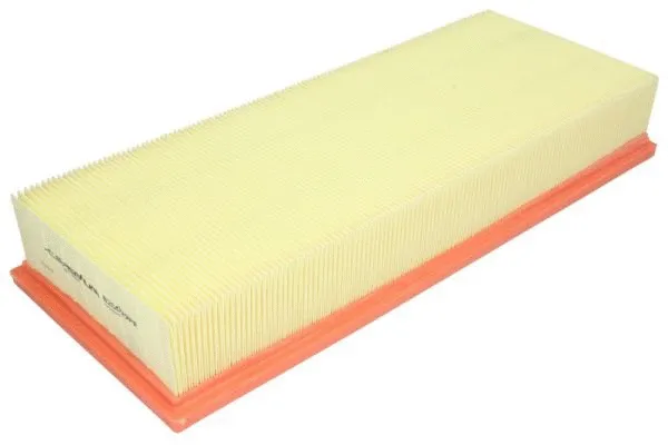 Air Filter (B2G029PR)