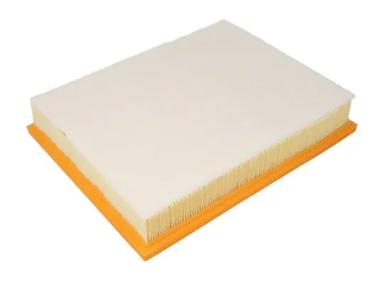 Air Filter (B2B034PR)
