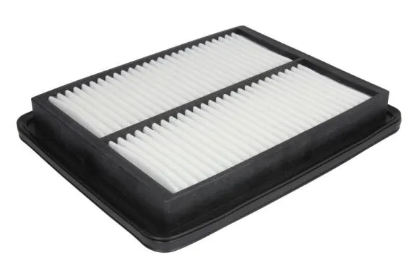 Air Filter (B28010PR)