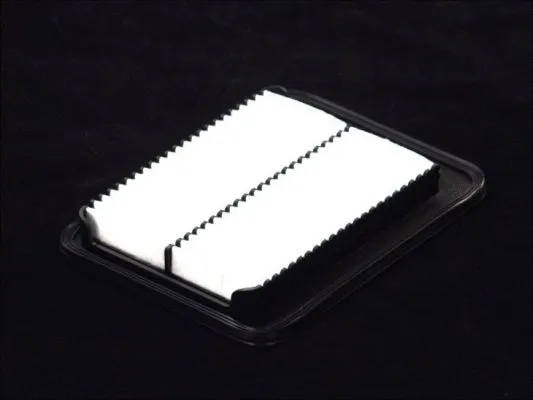 Air Filter (B20528PR)