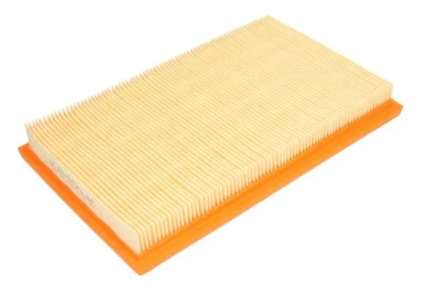Air Filter (B2B046PR)