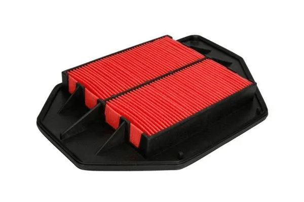 Air Filter (B24055PR)