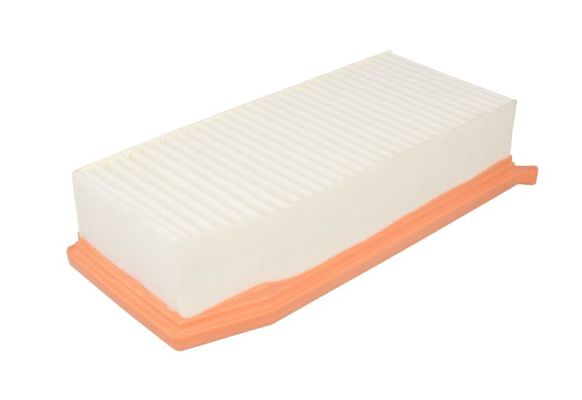 Air Filter (B2R069PR)