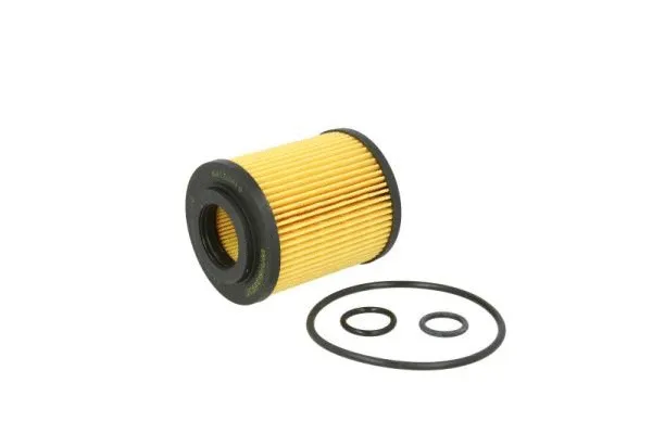 Oil Filter (B1X021PR)