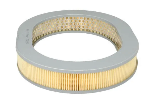 Air Filter (B24017PR)