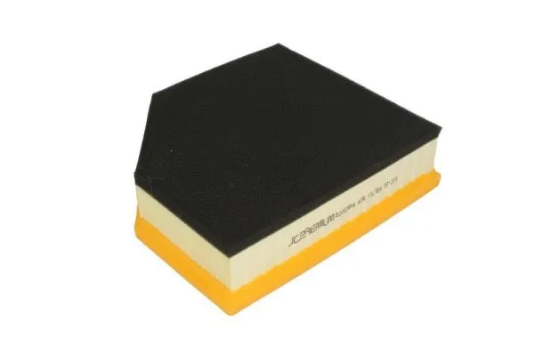Air Filter (B2V028PR)