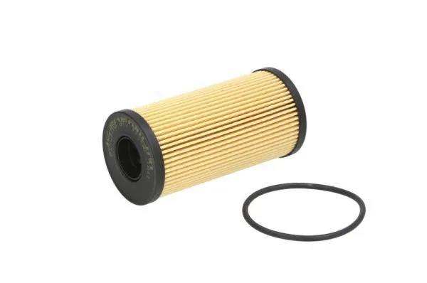 Oil Filter (B1X031PR)