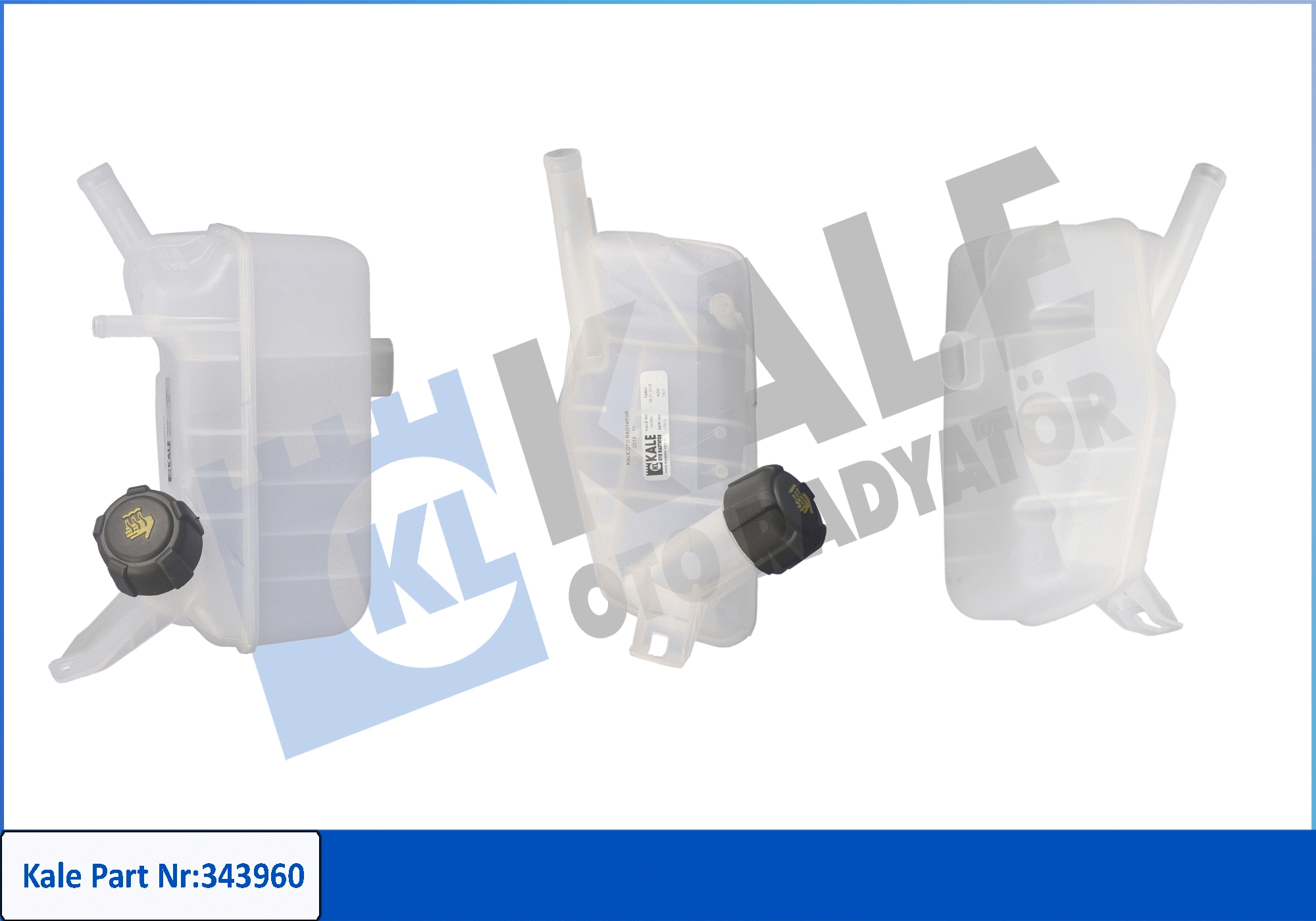 Expansion Tank, coolant (343960)