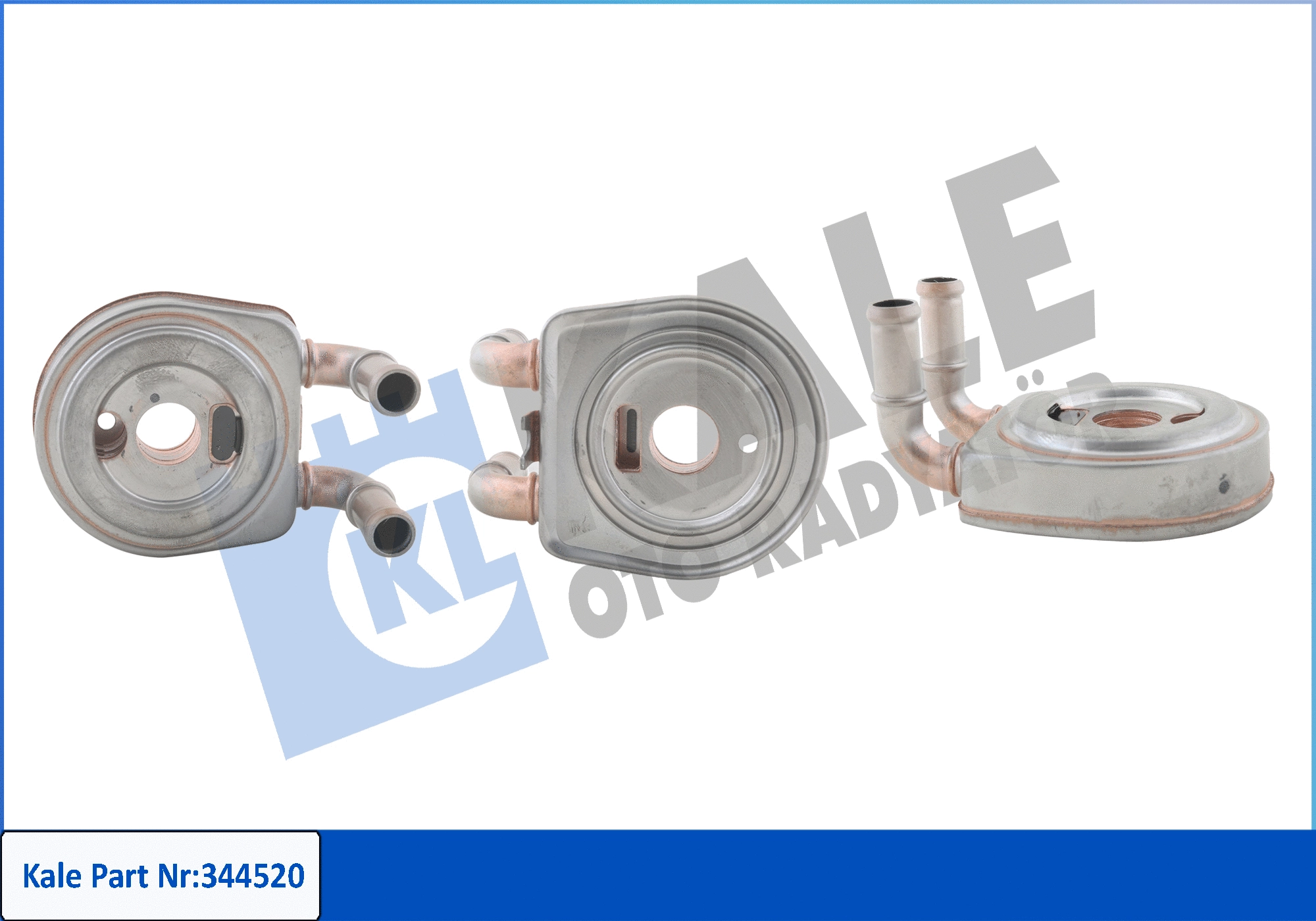 Oil Cooler, engine oil (344520)