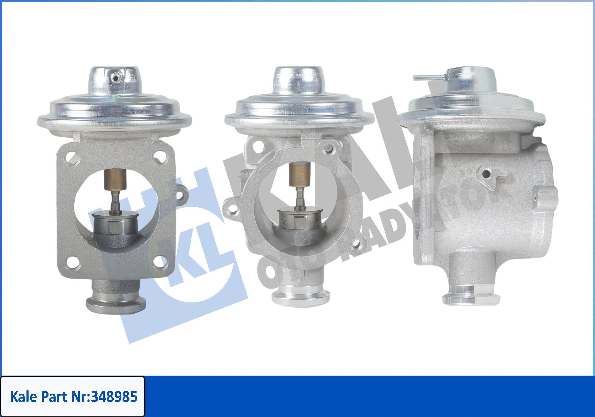 EGR Valve (348985)