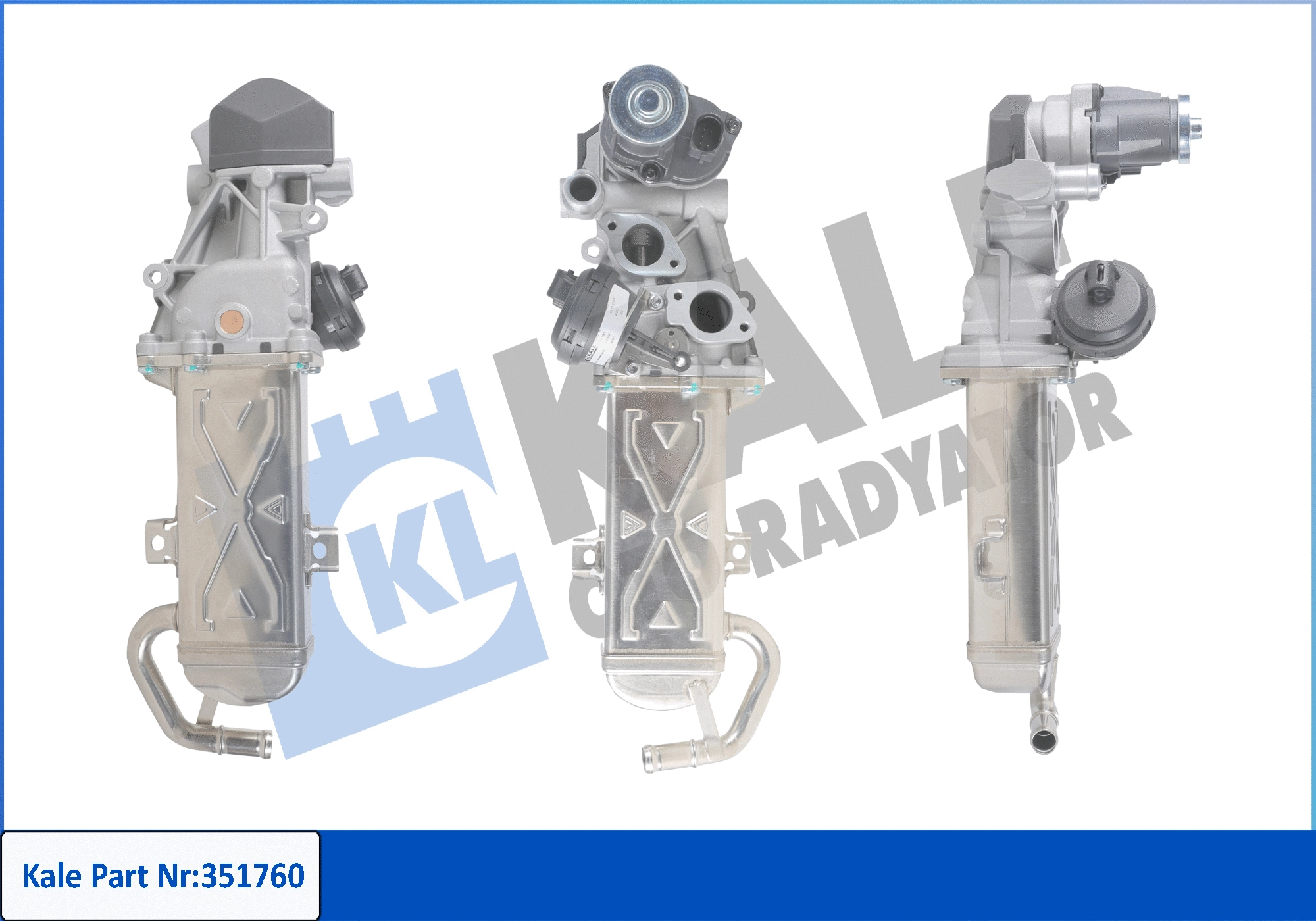 EGR Module (351760)