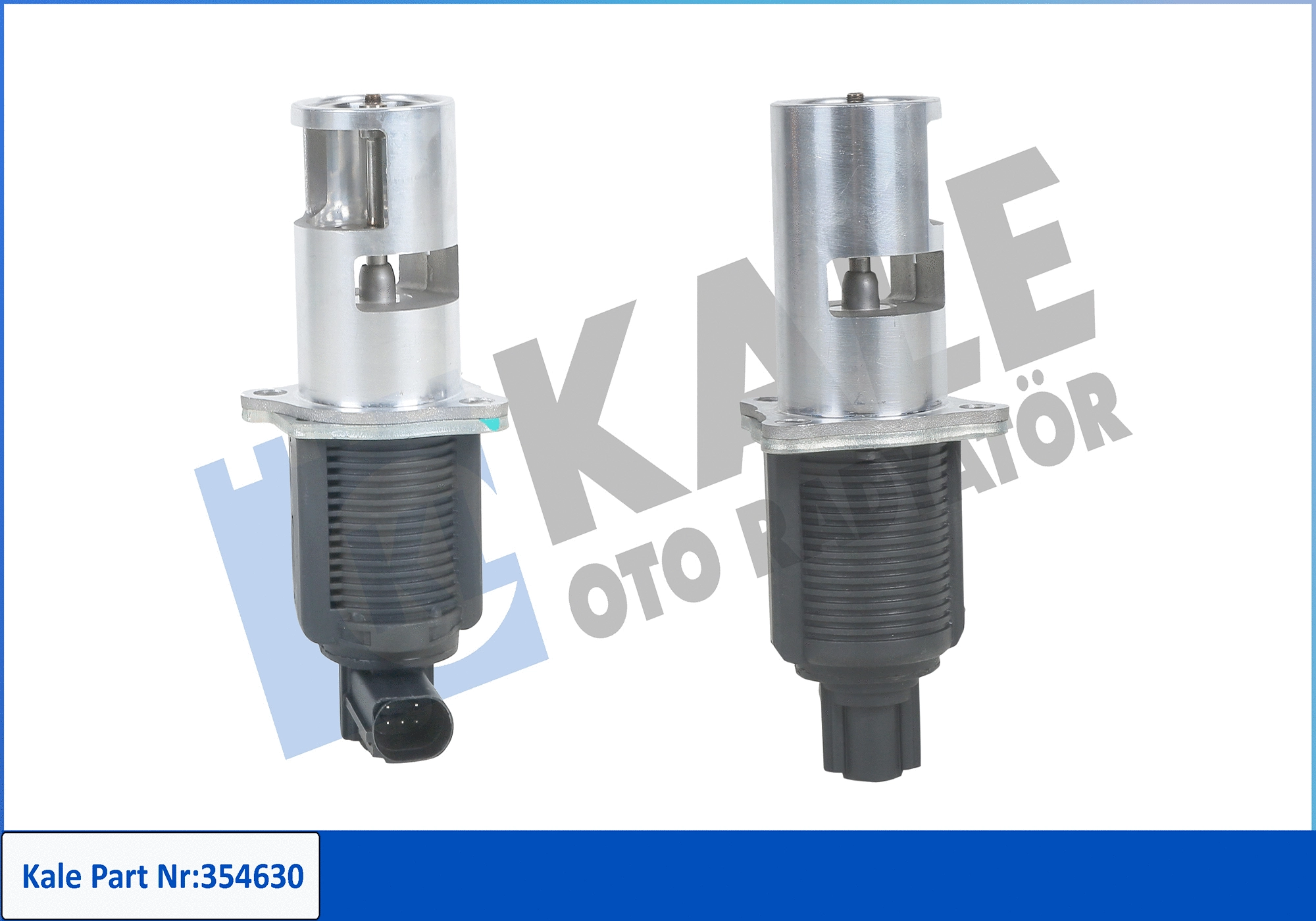 EGR Valve (354630)
