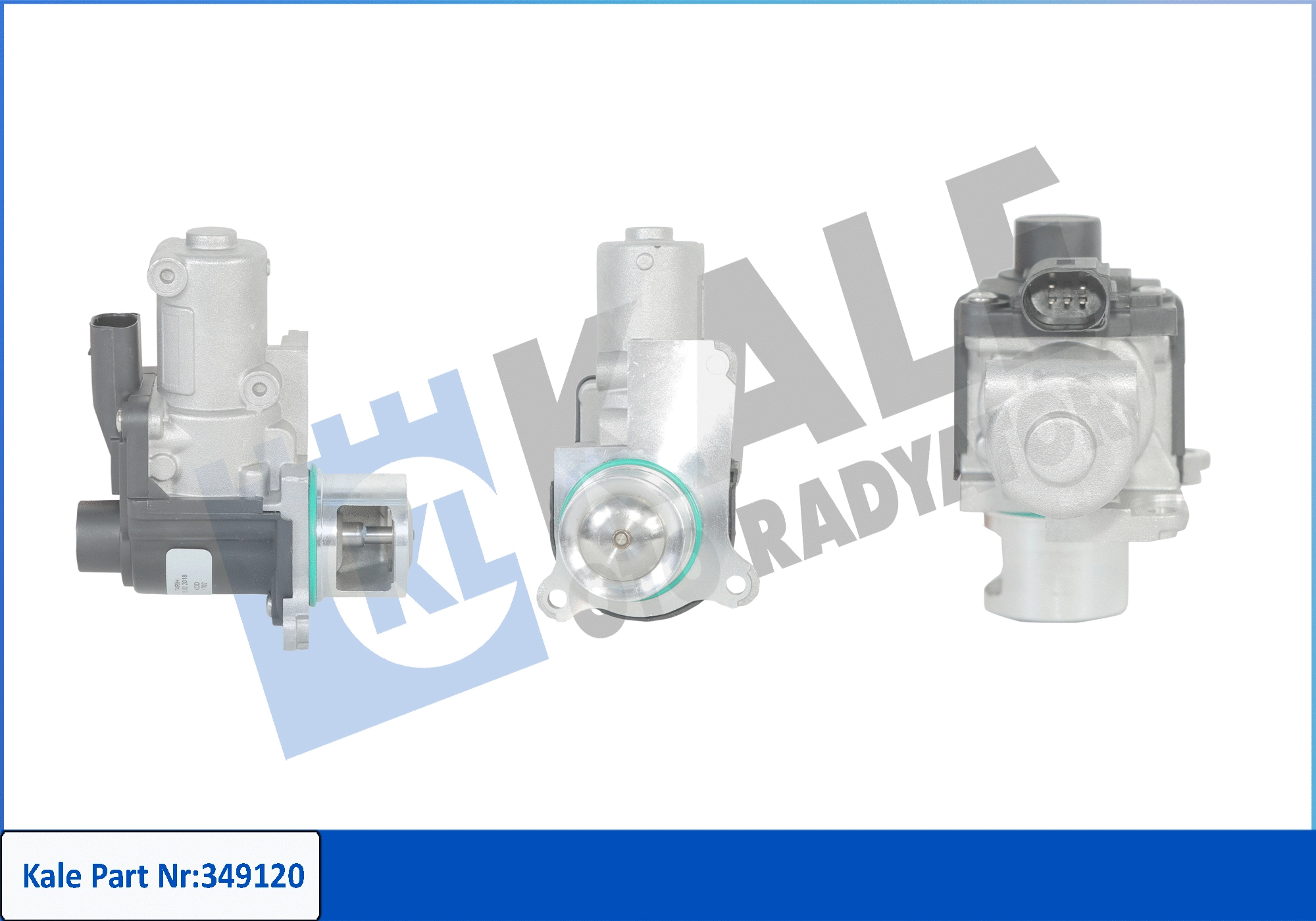 EGR Valve (349120)