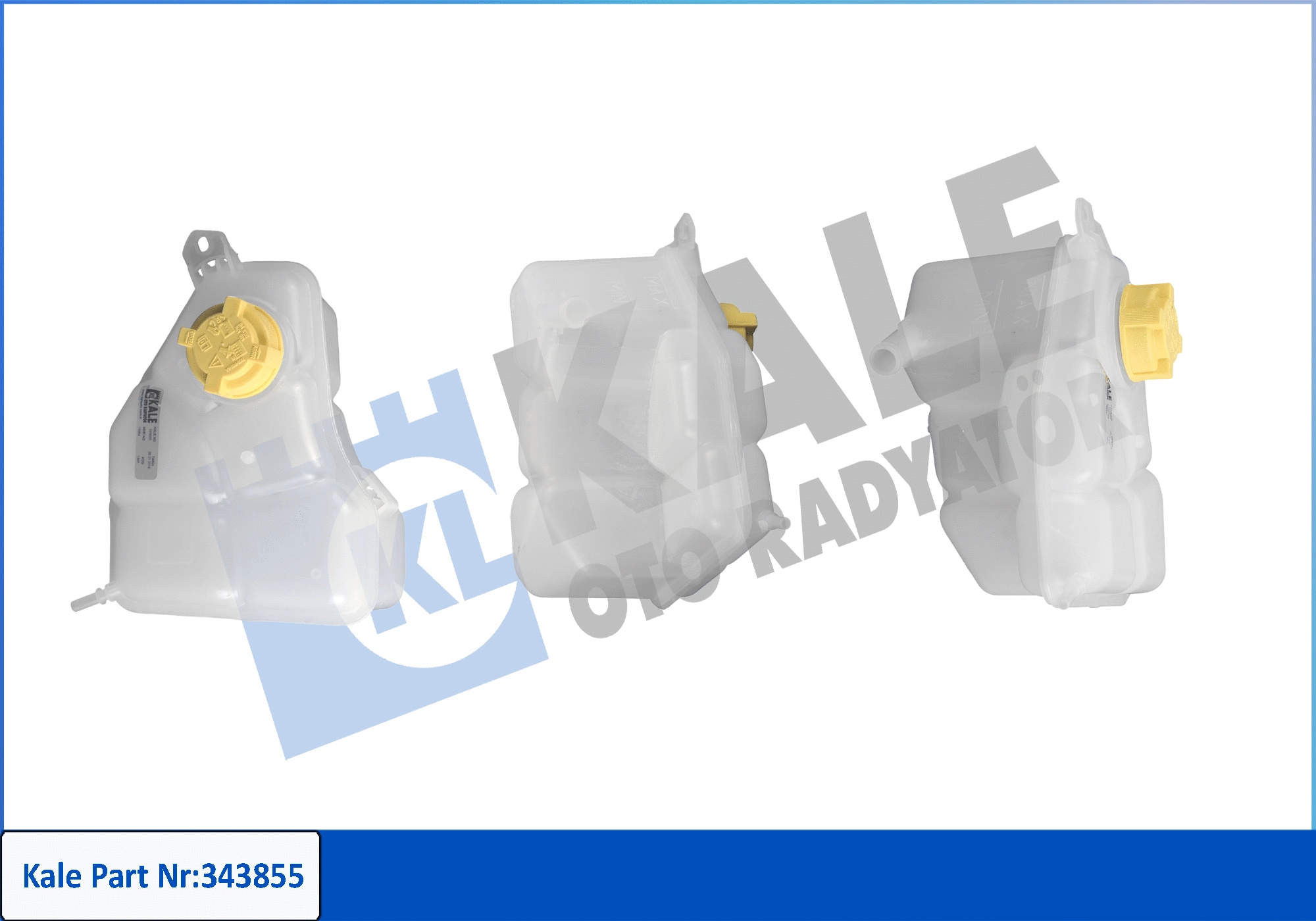Expansion Tank, coolant (343855)