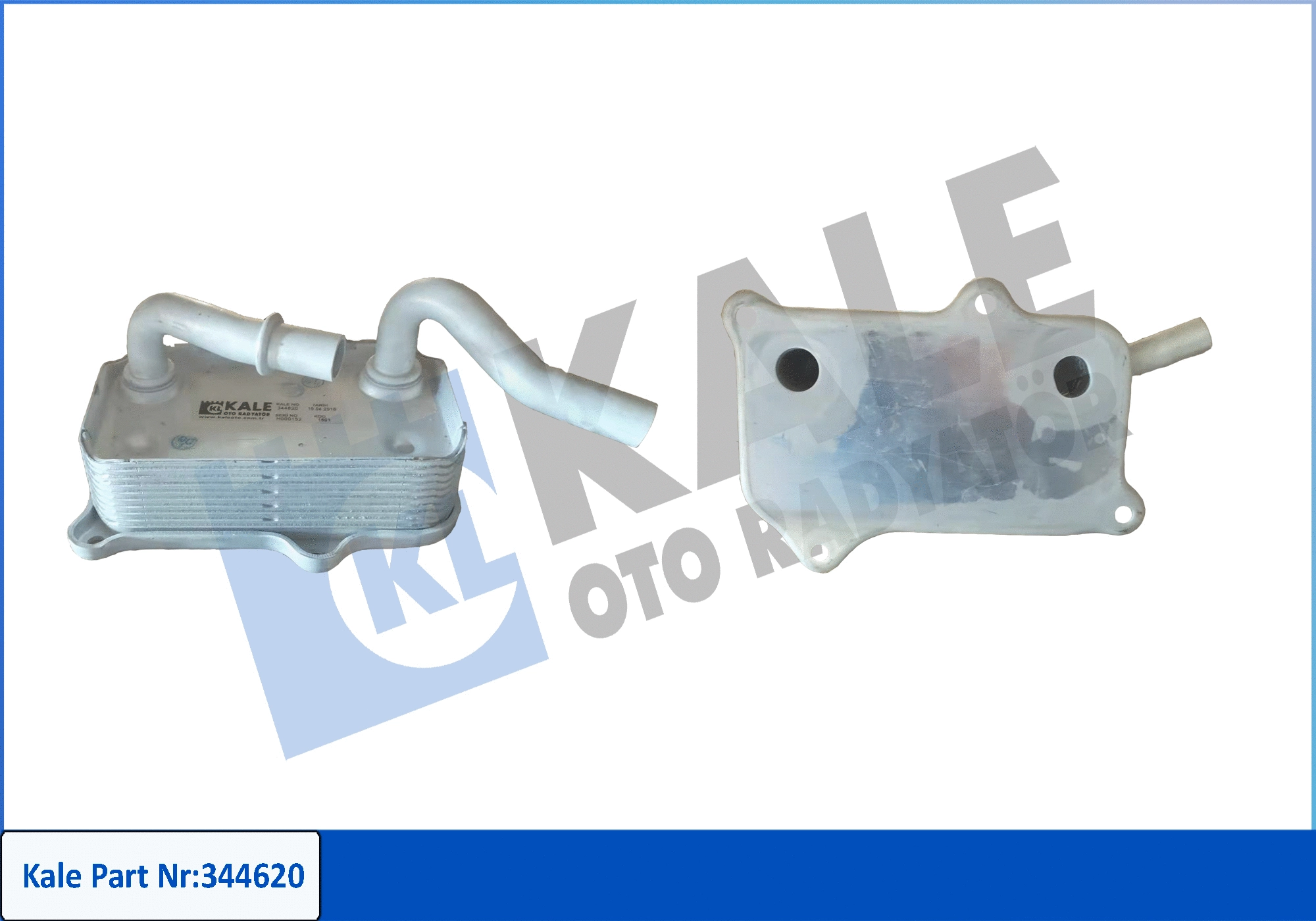 Oil Cooler, engine oil (344620)
