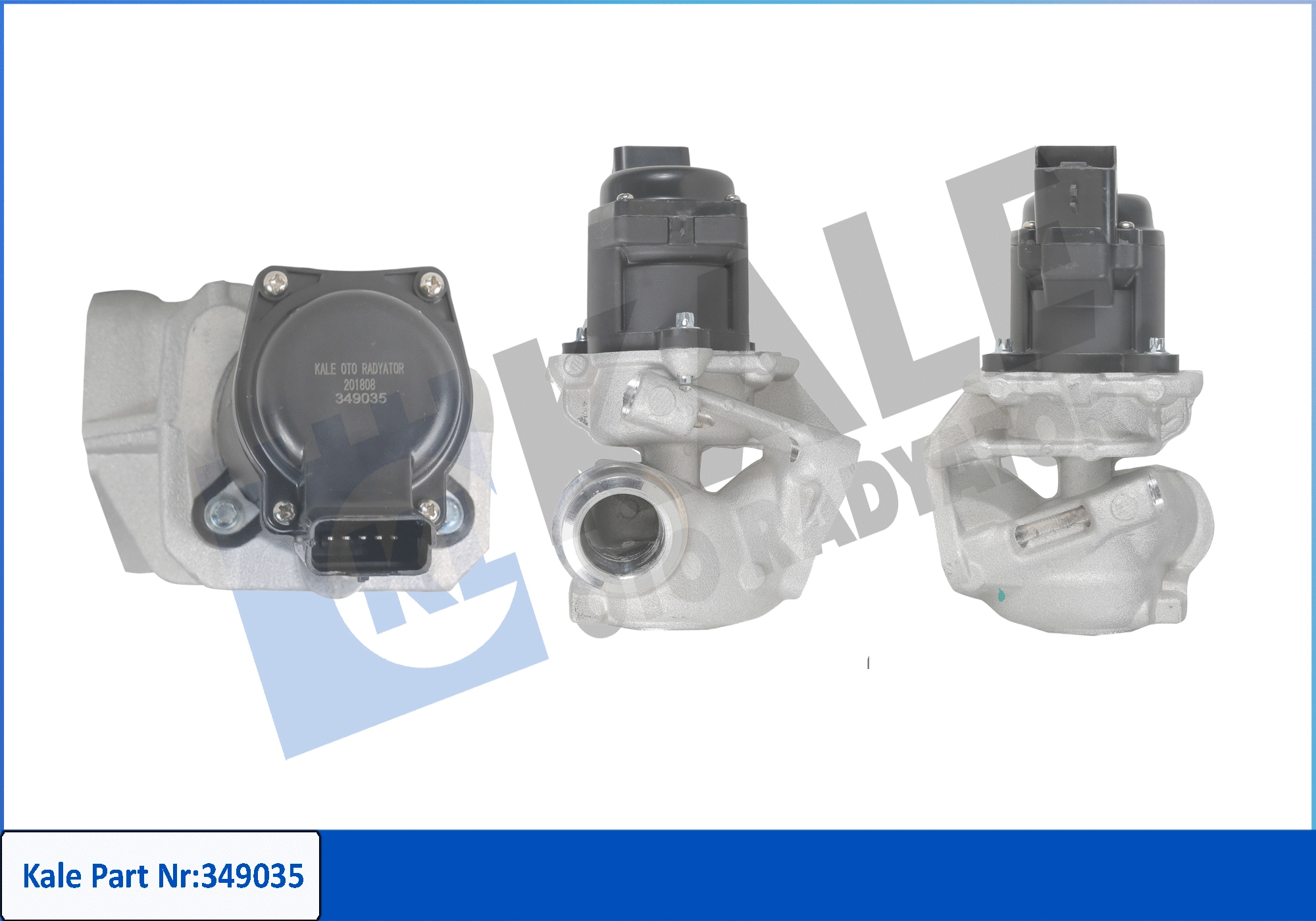 EGR Valve (349035)