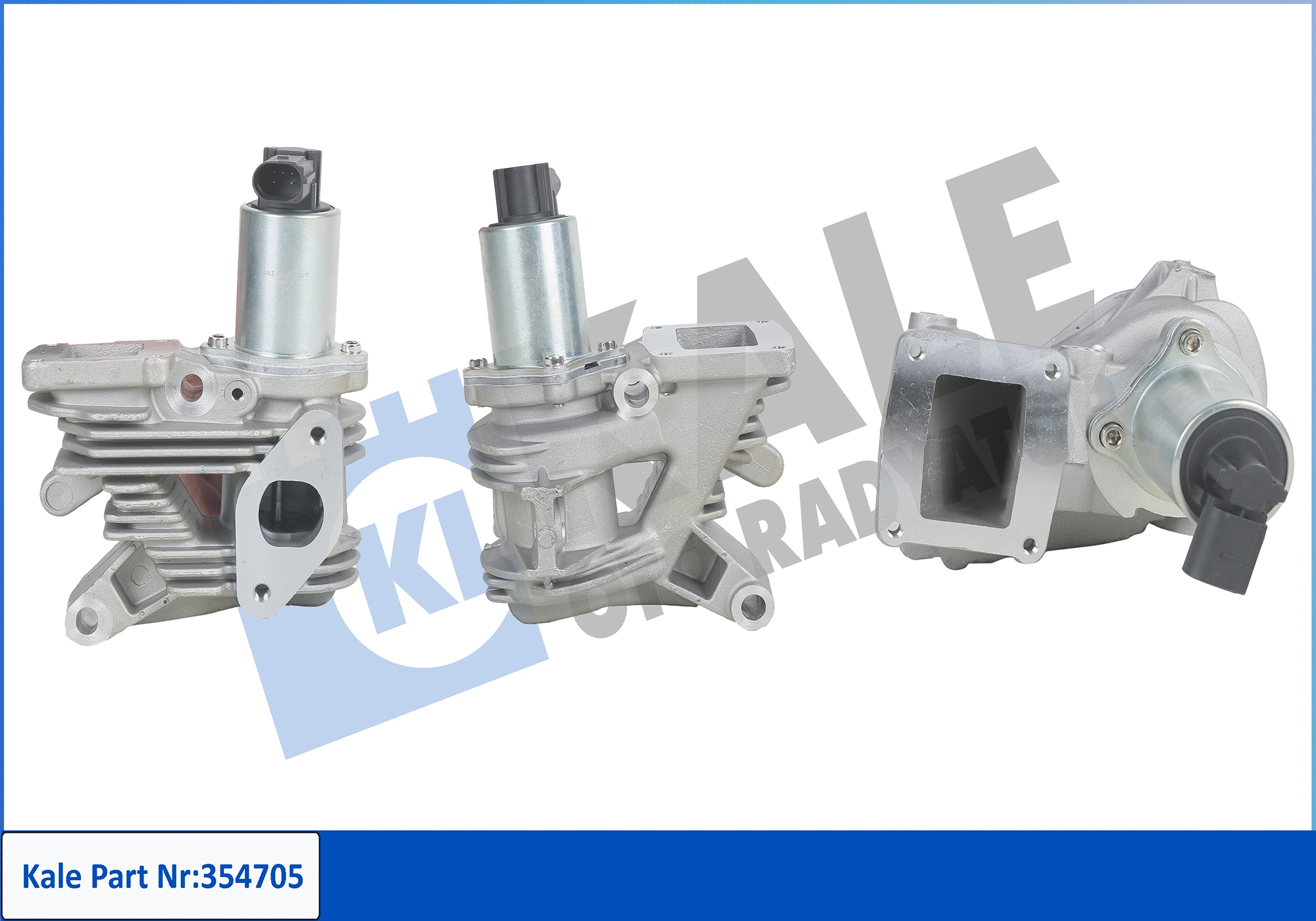 EGR Valve (354705)