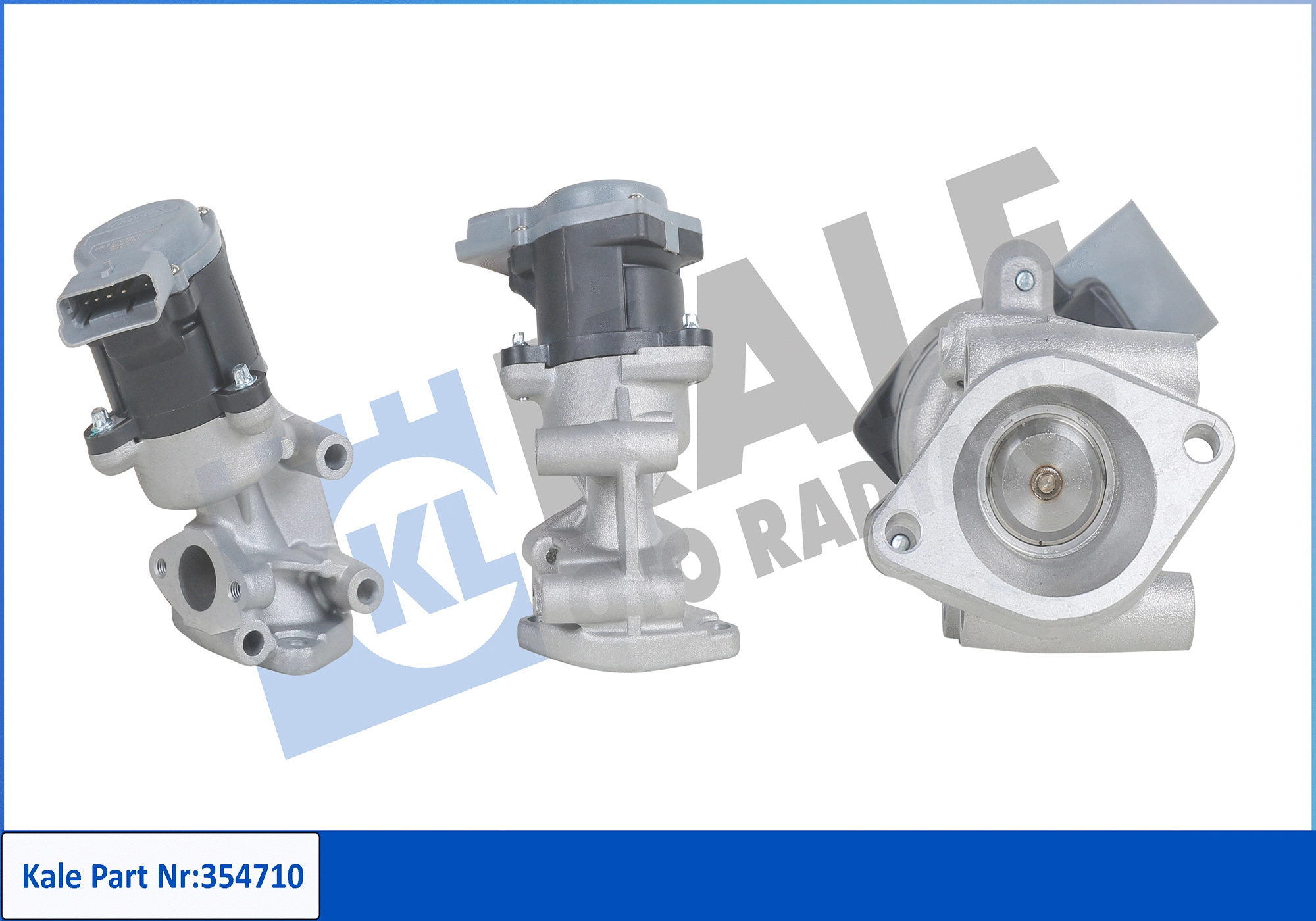 EGR Valve (354710)