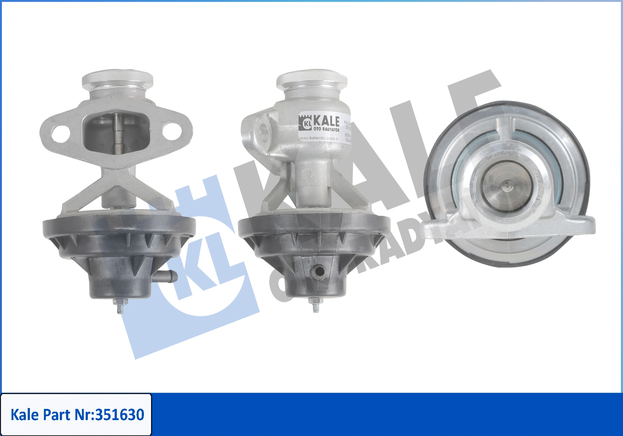 EGR Valve (351630)