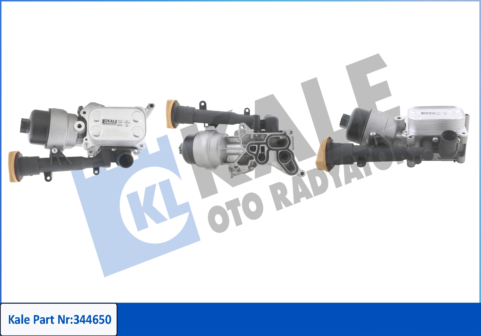 Oil Cooler, engine oil (344650)