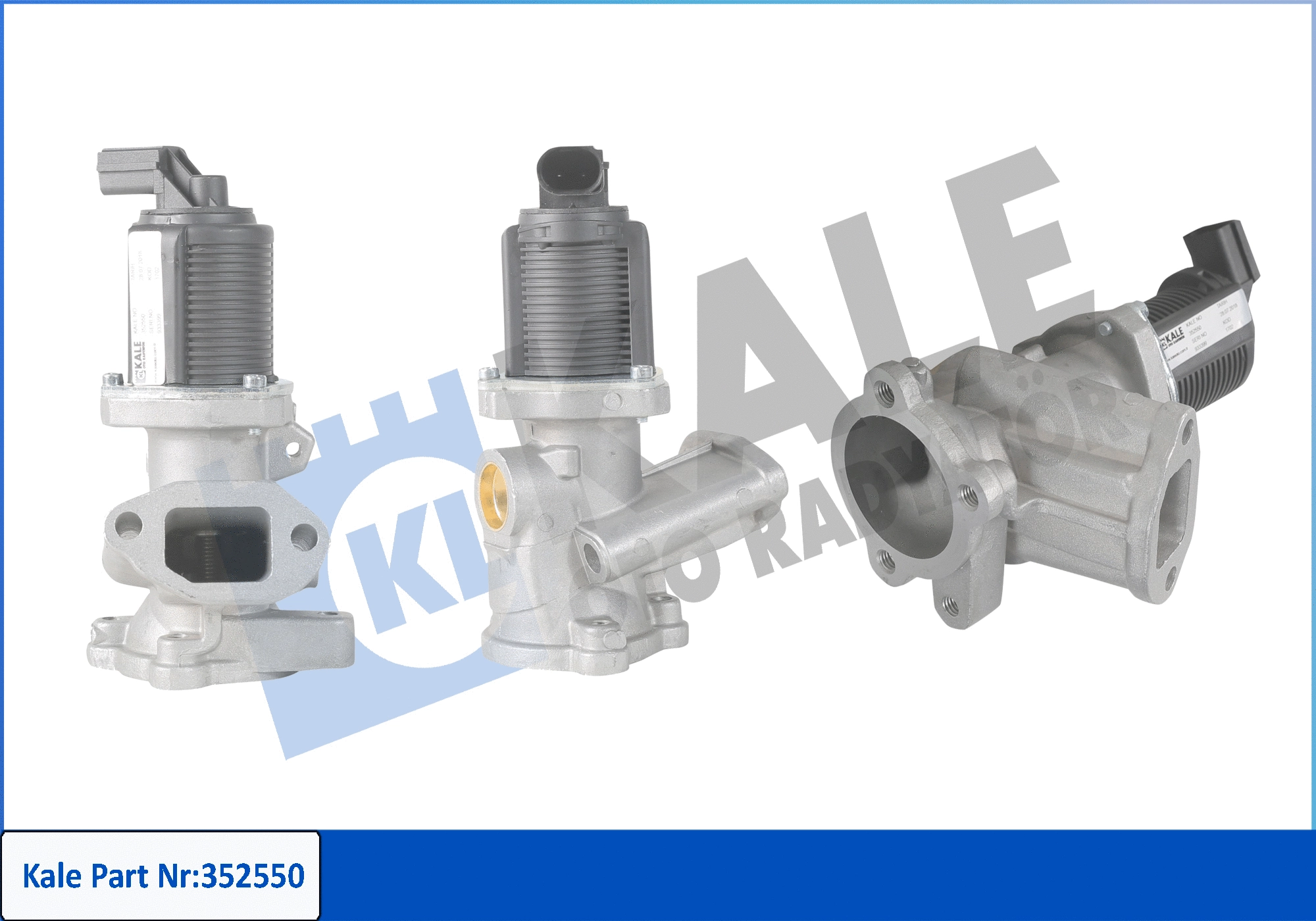EGR Valve (352550)