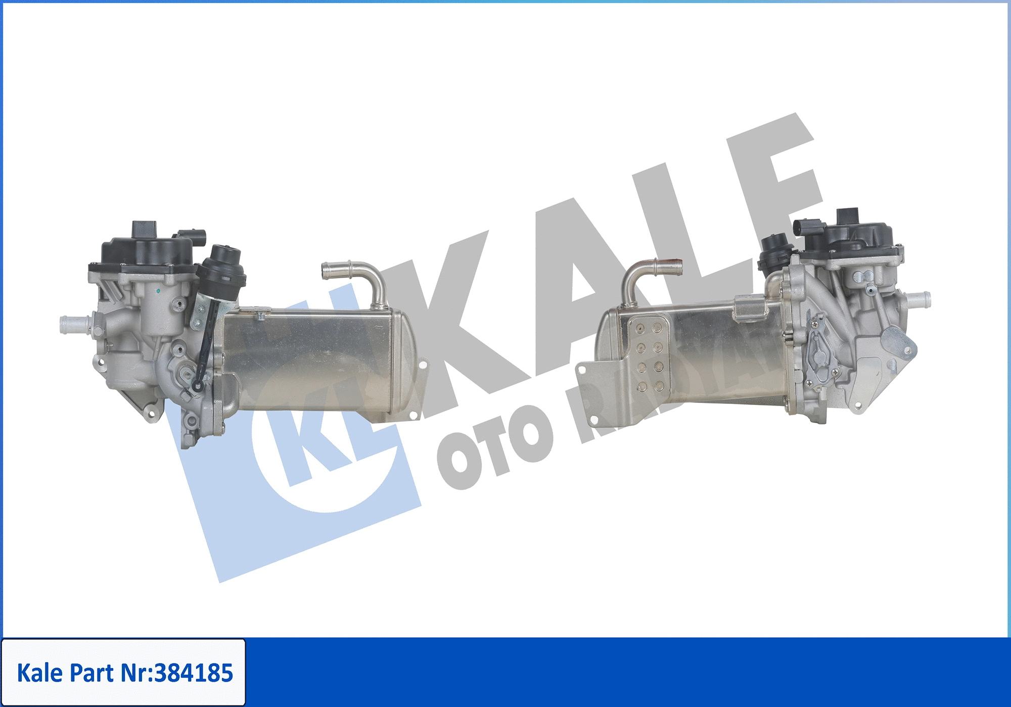 EGR Module (384185)