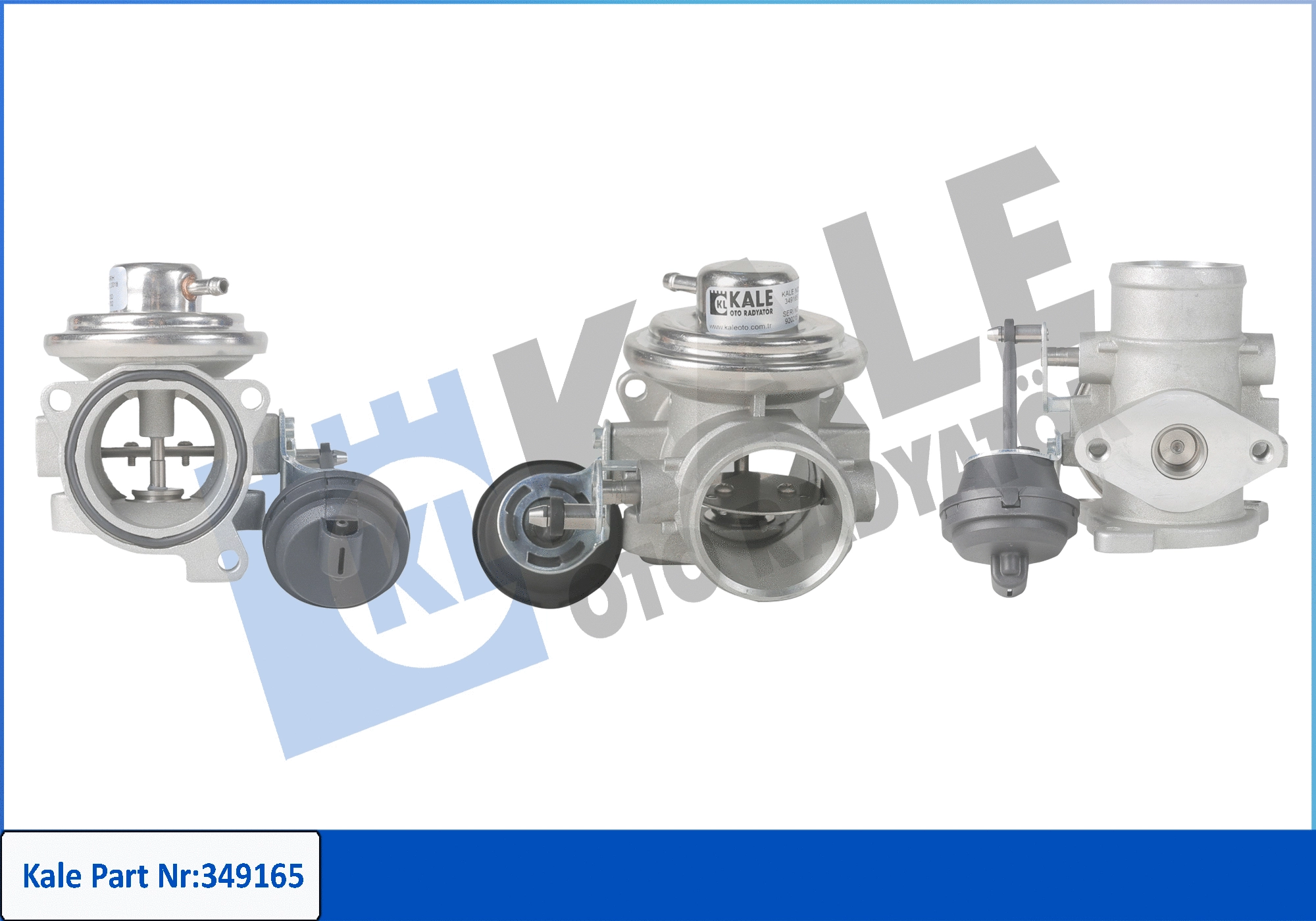 EGR Valve (349165)