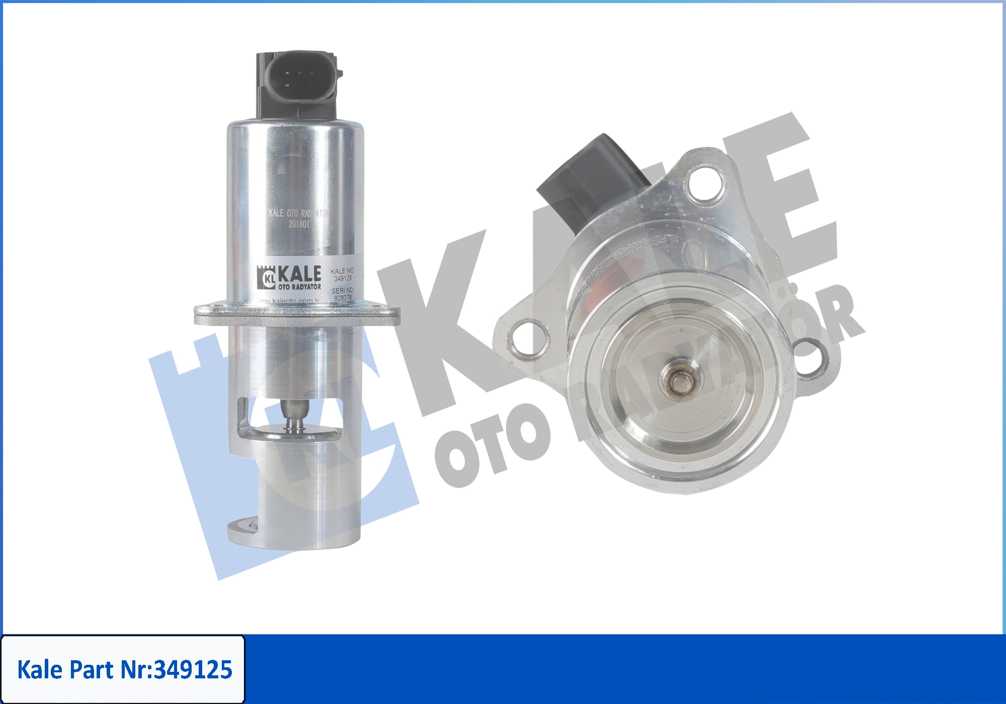 EGR Valve (349125)