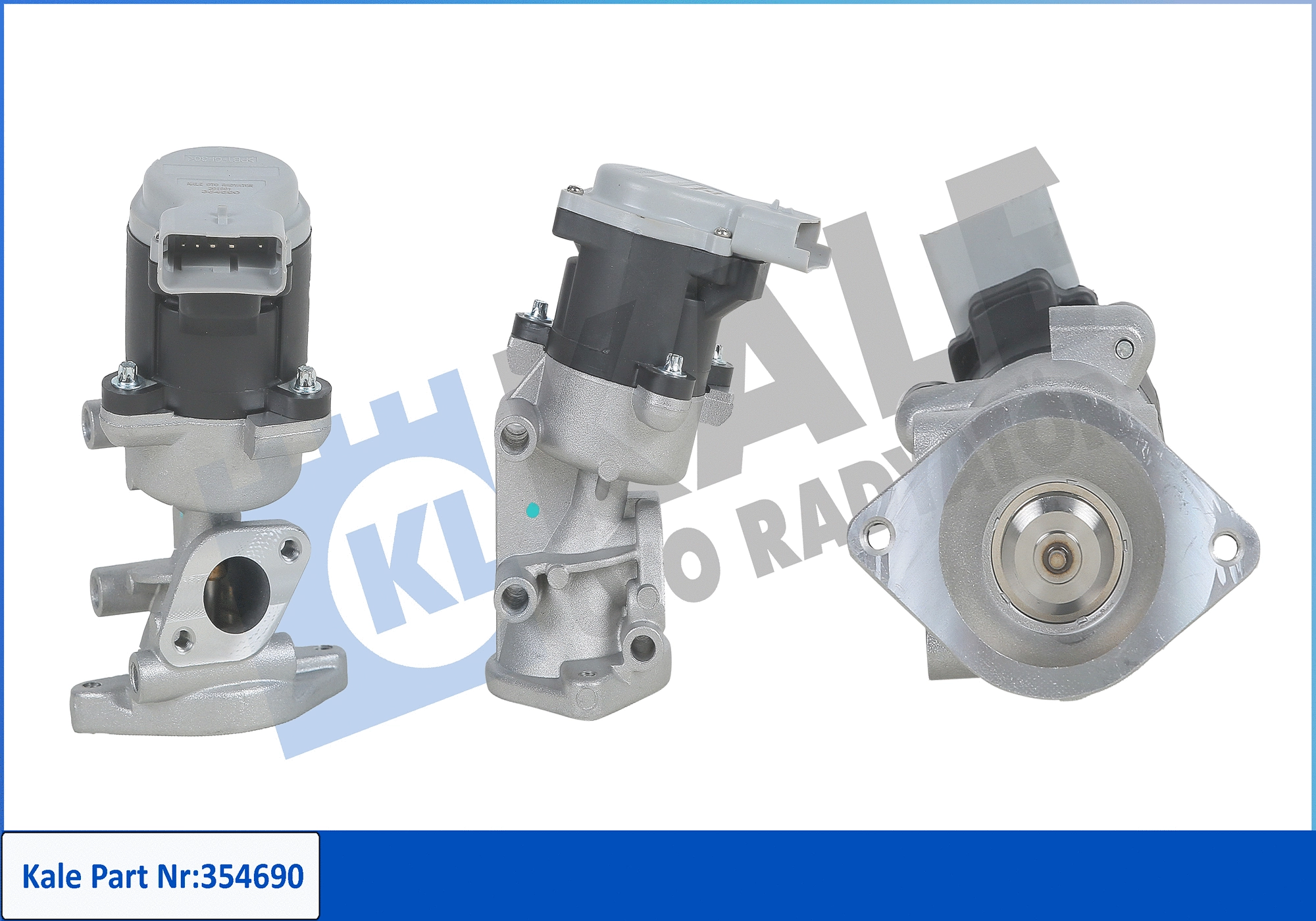 EGR Valve (354690)