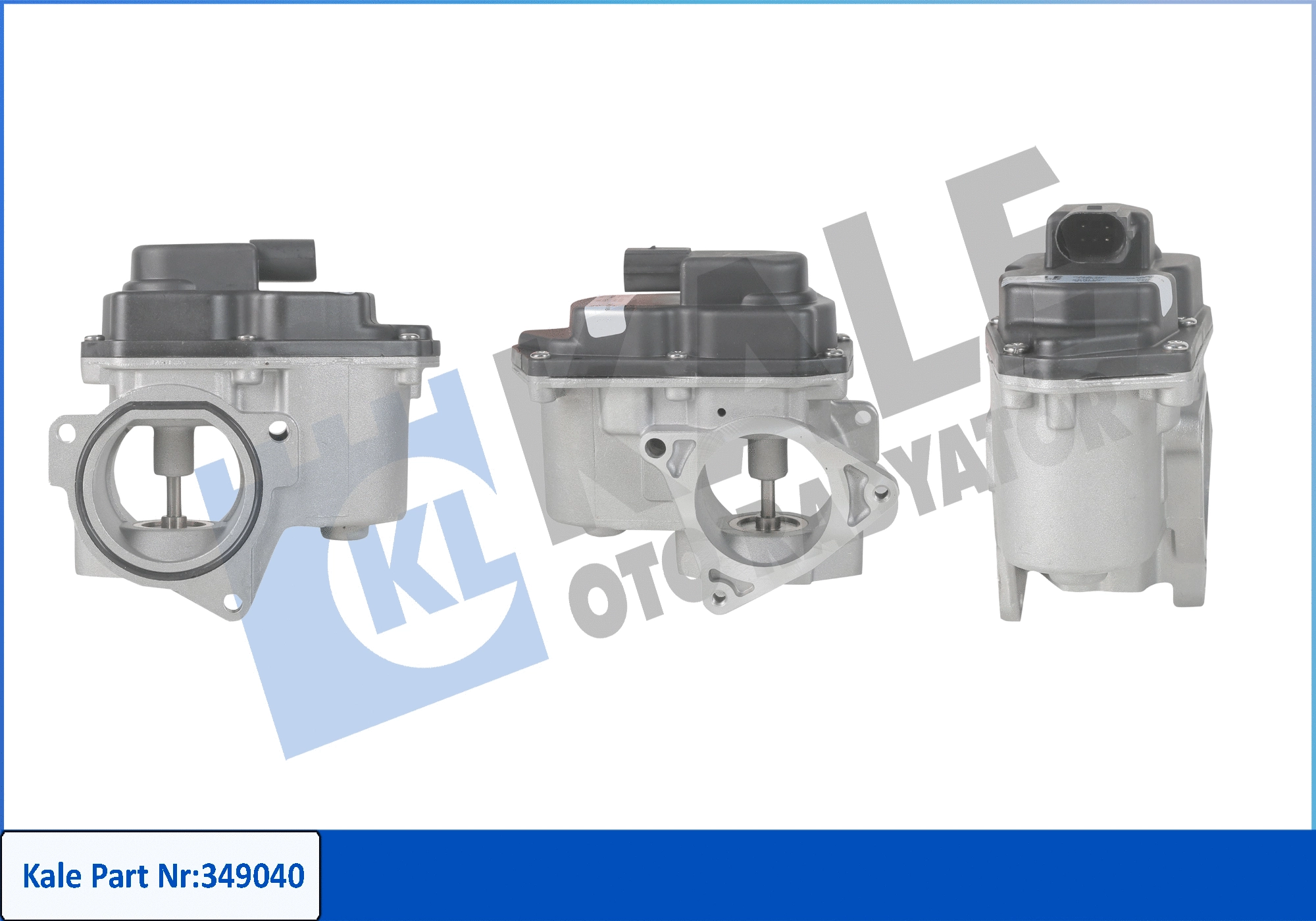 EGR Valve (349040)