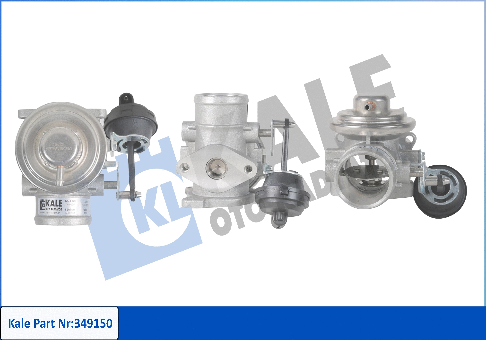 EGR Valve (349150)
