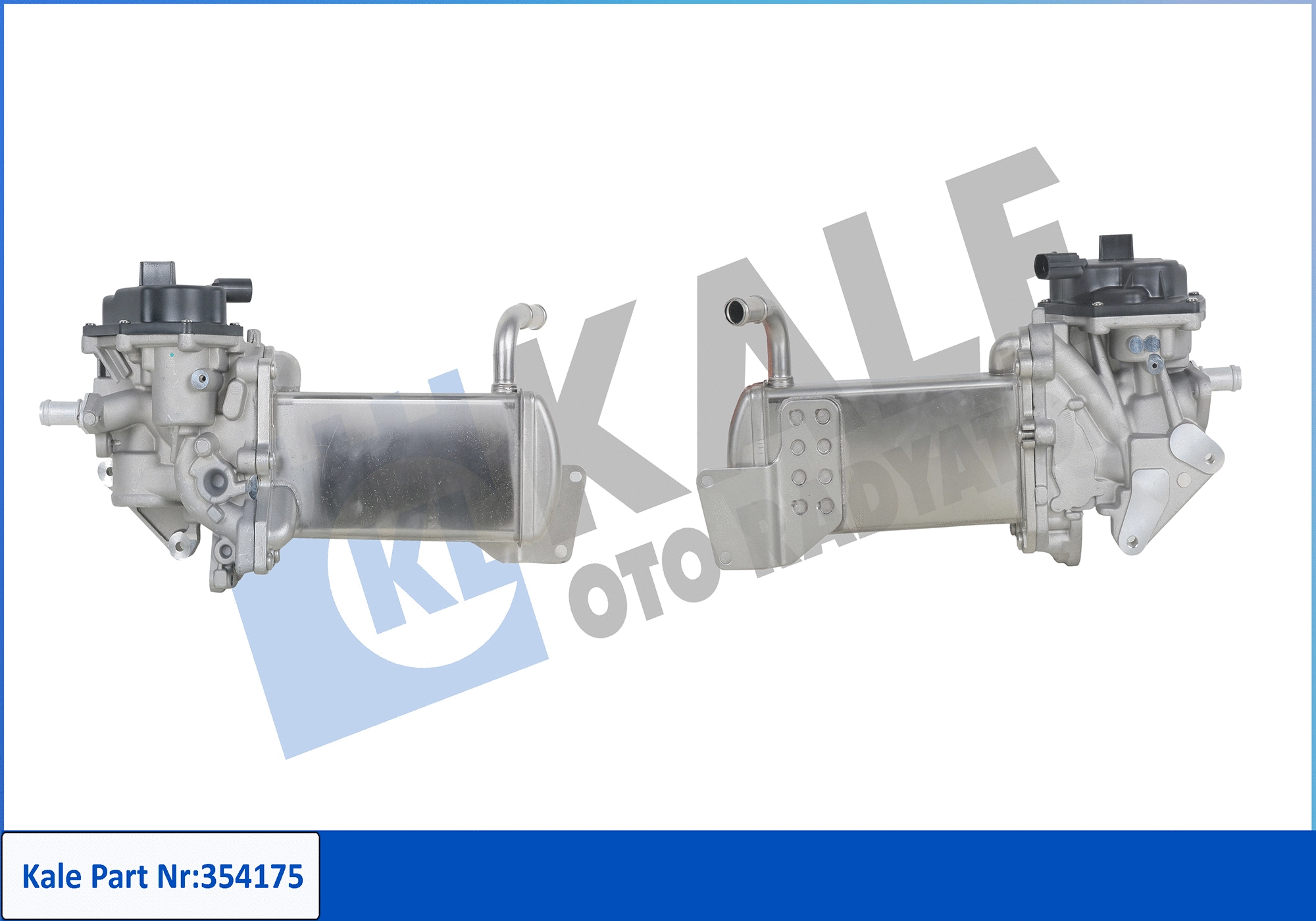 EGR Module (354175)