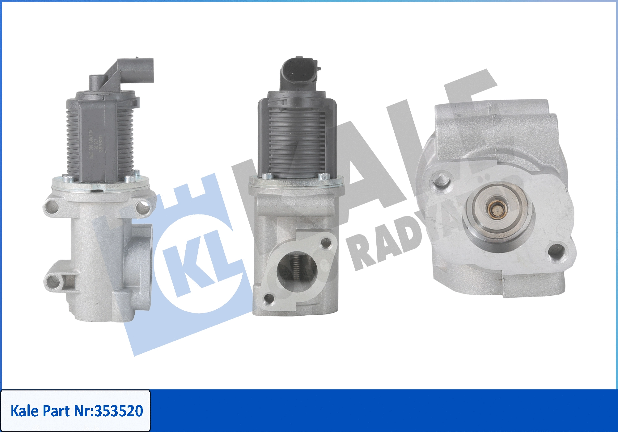 EGR Valve (353520)