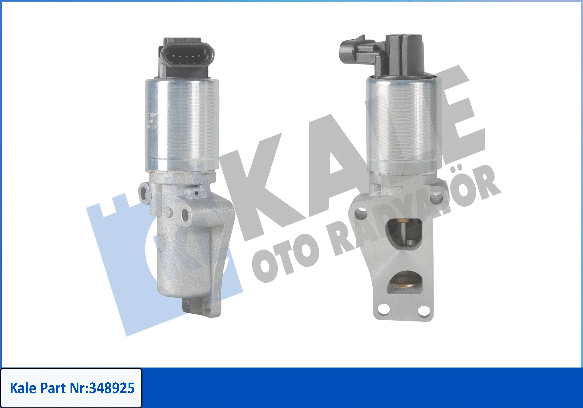 EGR Valve (348925)