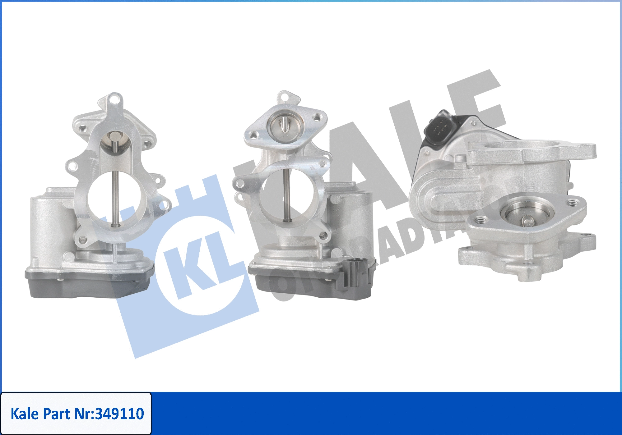 EGR Valve (349110)