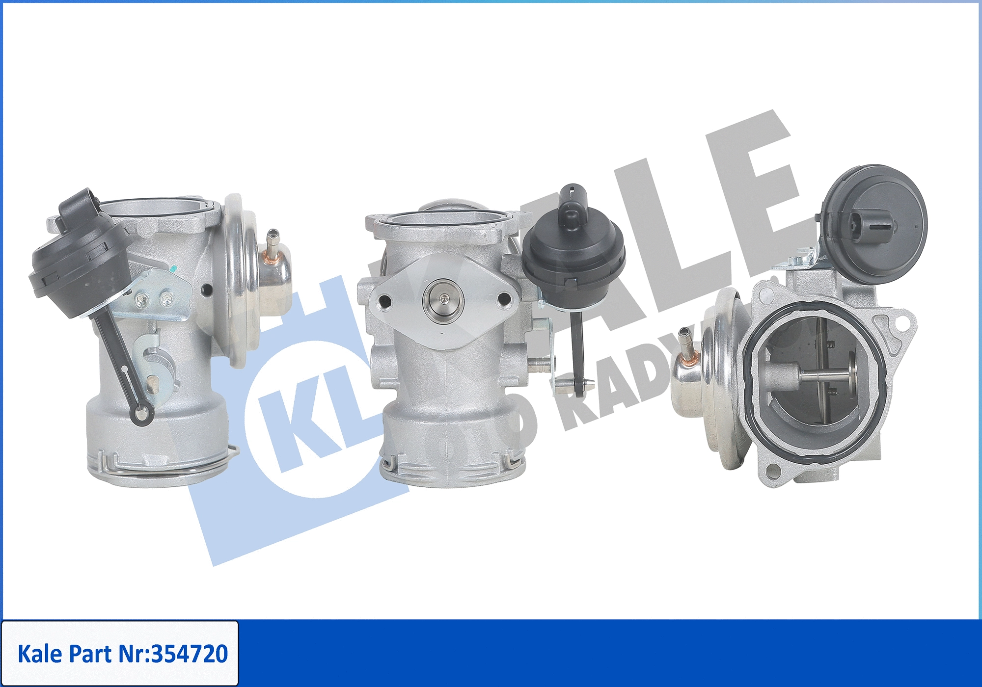 EGR Valve (354720)