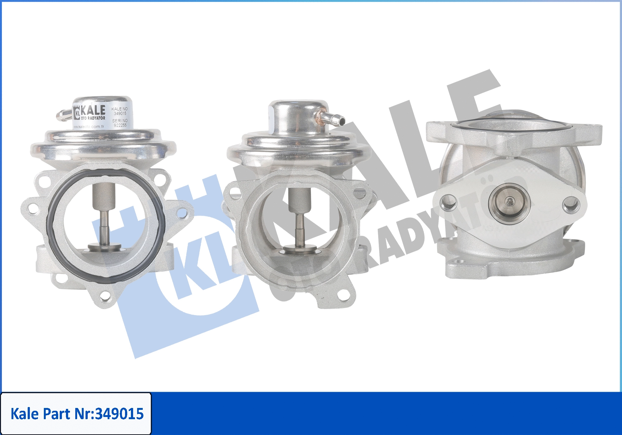 EGR Valve (349015)