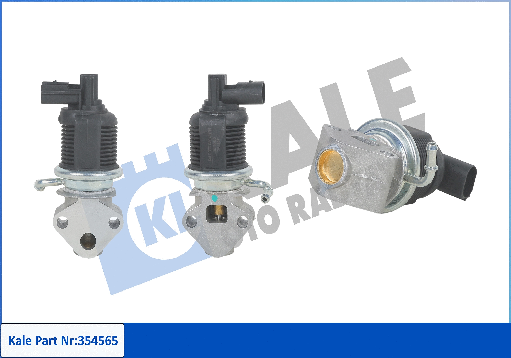 EGR Valve (354565)